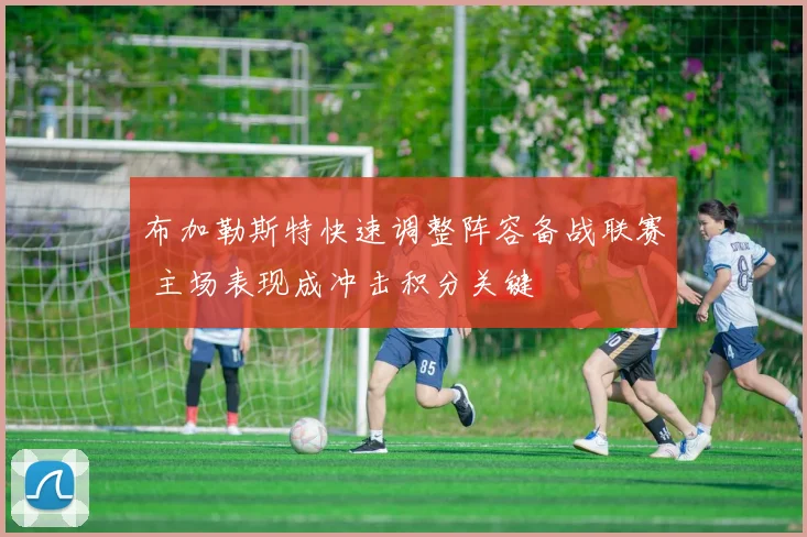 布加勒斯特快速调整阵容备战联赛 主场表现成冲击积分关键