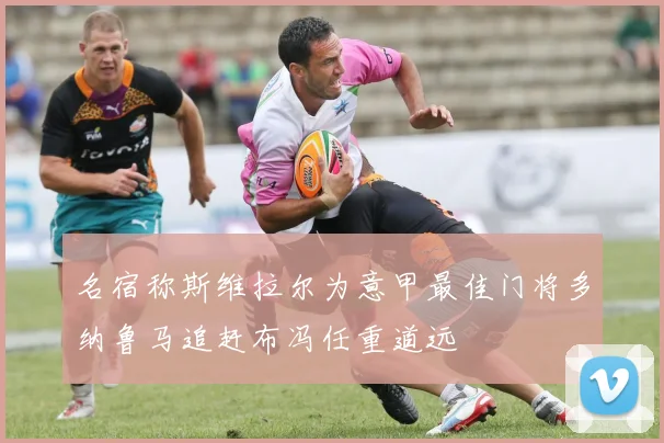 名宿称斯维拉尔为意甲最佳门将多纳鲁马追赶布冯任重道远
